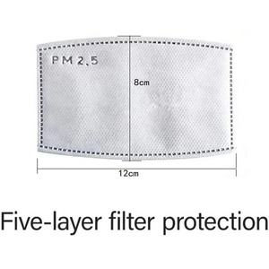 PM 2.5 Face Mask Filter (4pk) - Inspire Me Positive, LLC